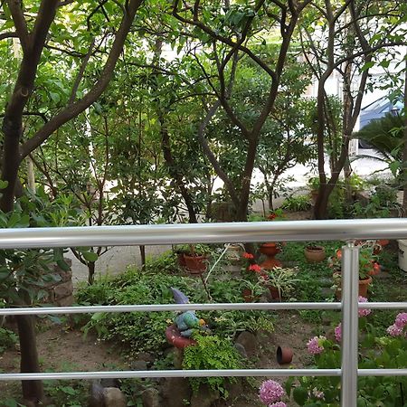 Apartmani Bonik بودفا المظهر الخارجي الصورة